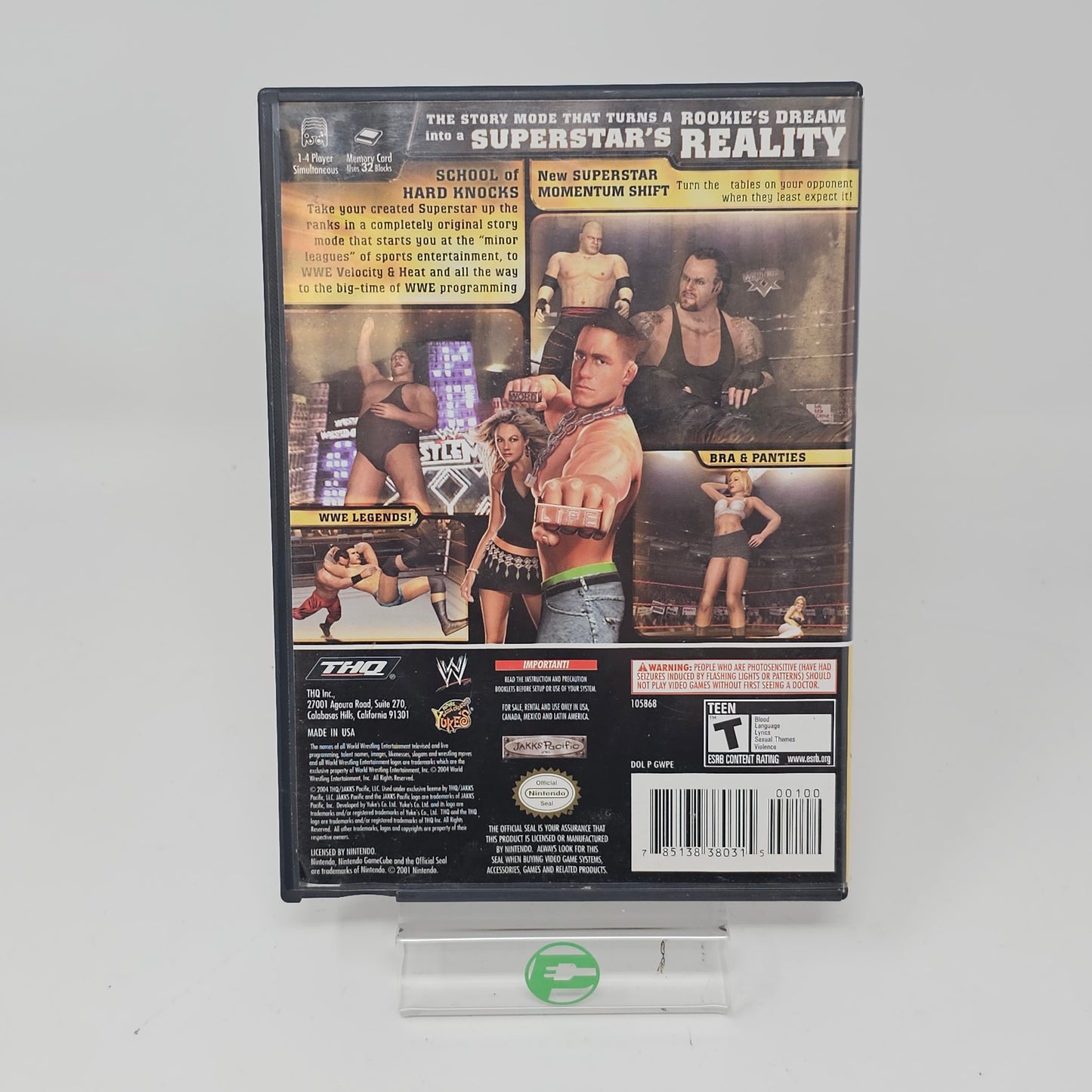 WWE Day of Reckoning (Nintendo GameCube, 2004)