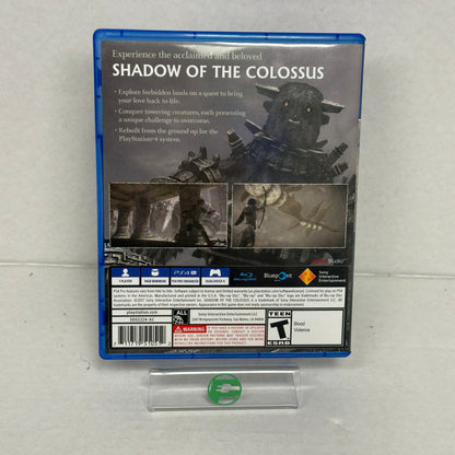 Shadow of the Colossus (Sony PlayStation 4 PS4, 2018)