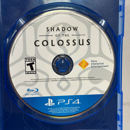 Shadow of the Colossus (Sony PlayStation 4 PS4, 2018)