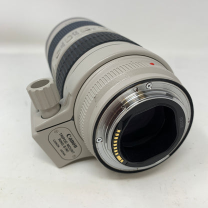 Canon EF 70-200mm f/2.8L IS USM Telephoto Zoom Lens