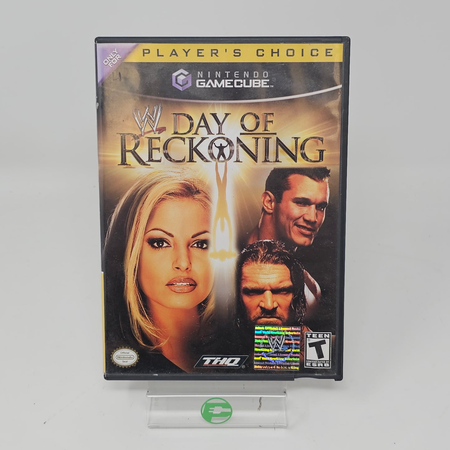 WWE Day of Reckoning (Nintendo GameCube, 2004)